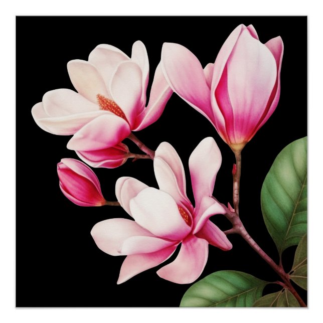 Pôster Arte Floral de Flor Rosa Simples Elegante (Frente)