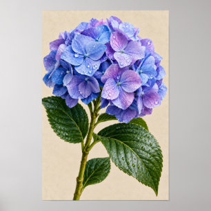 Poster Arte Floral de Parede de Hortênsia Azul Vintage El