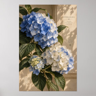 Poster Arte Floral de Parede em Azul Vintage de Hortênsia