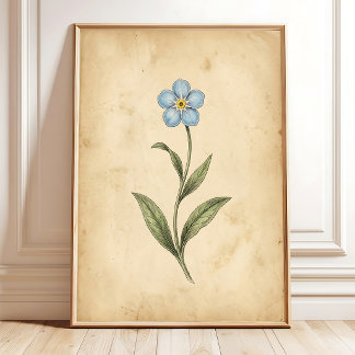 Poster Arte Floral Vintage Não-Me-Esqueças