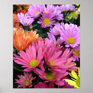 Poster Arte Fotográfica Colorful Daisies