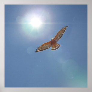 Poster Arte Fotográfica em Sol Brilhante e Ombro Vermelh