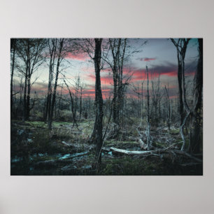 Poster Arte Gótico Floresta Sombria de Pântano