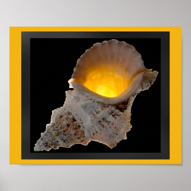 Poster Arte Imprimível de Seashell Tropical Dourada e pre (Frente)