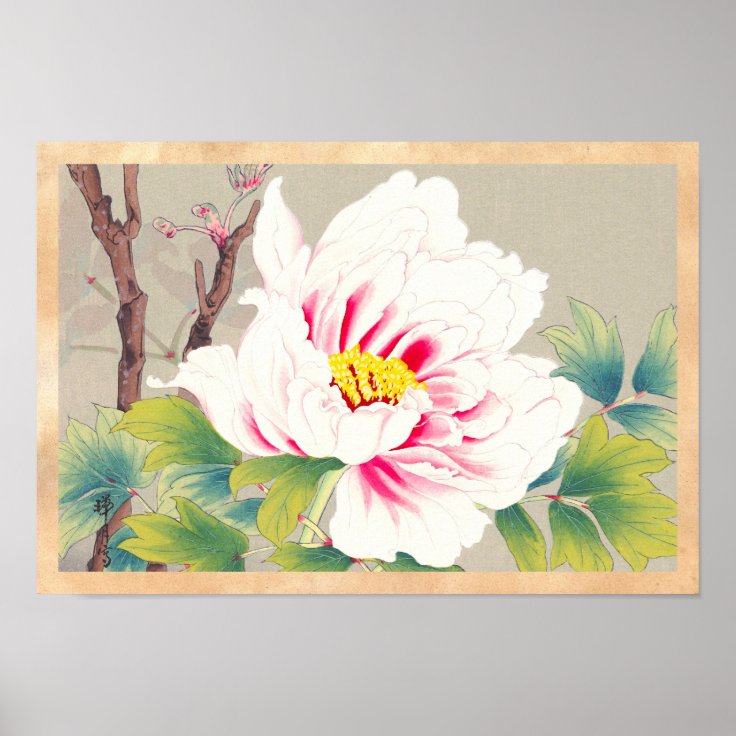 Pôster Arte japonesa da flor da camélia cor-de-rosa de 