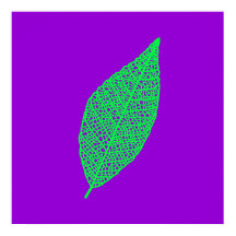 Arte linear de folha de esqueleto roxa e verde