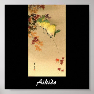 Poster Arte marcial do japonês do Aikido