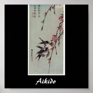 Poster Arte marcial do japonês do Aikido