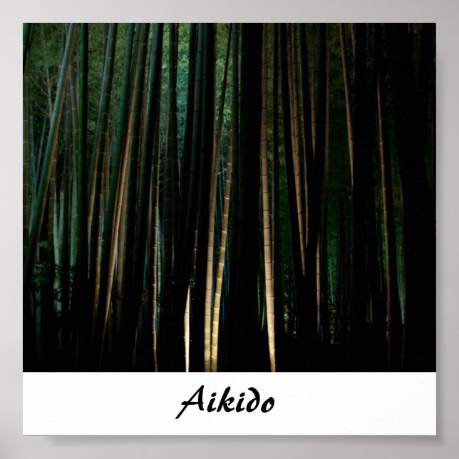 Poster Arte Marcial Japonesa Aikido (Frente)