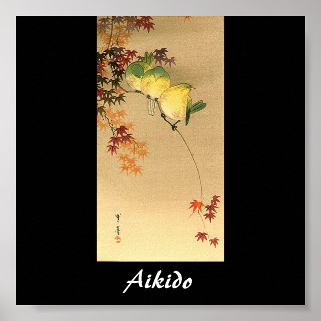 Poster Arte Marcial Japonesa Aikido (Frente)