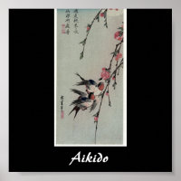 Arte Marcial Japonesa Aikido
