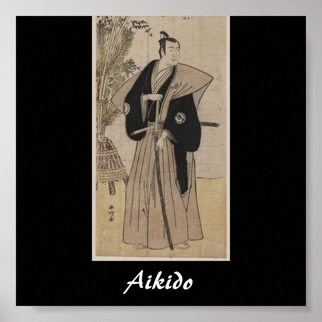Poster Arte Marcial Japonesa Aikido (Frente)
