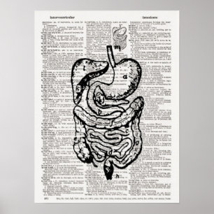 Pôster Arte médica do dicionário da ilustração