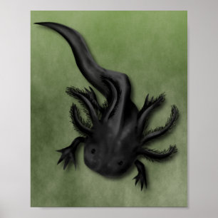 Poster Arte Melanóide Negra Axolotl