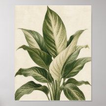 Arte Minimalista de Folhas Botânicas Tropicais – G