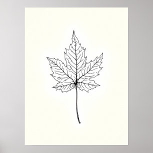 Poster Arte Moderna Minimalista Mapeamento de Solteiros c