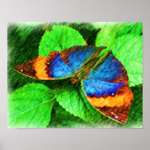 Pôster Arte natural Colorida do Lápis de Borboleta
