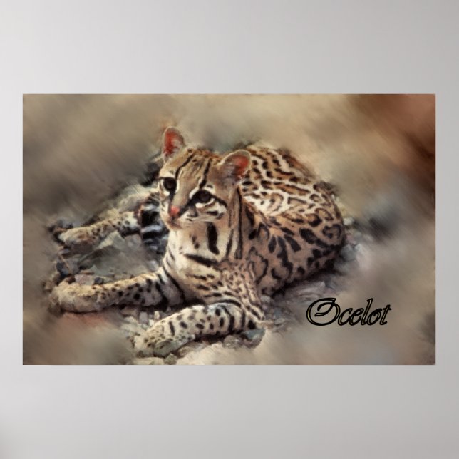 Pôster Arte Ocelot (Frente)