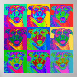 Pôster Arte Op Pitbull