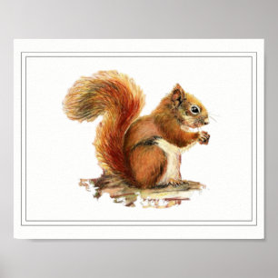 Poster Arte original da natureza do esquilo vermelho da