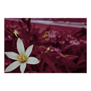 Pôster Arte paisagística das flores do oceano