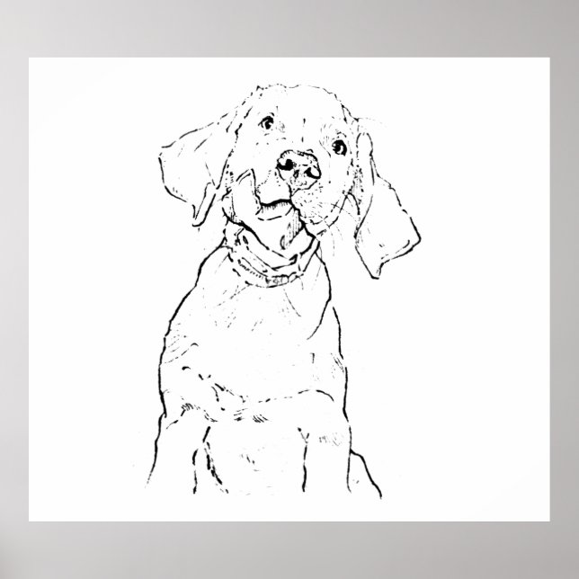 Poster Arte para Parede de Cachorro Labrador Retriever, D (Frente)