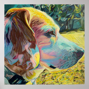 Poster Arte Personalizada Com Bola