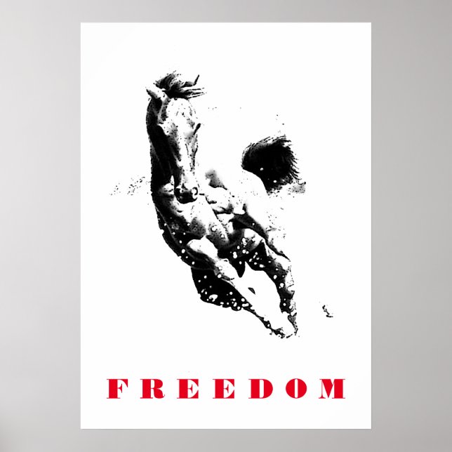 Pôster Arte Pop da Liberdade Motivacional Cavalo Branco N (Frente)