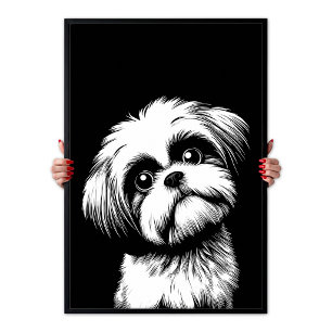 Poster Arte Pop Shih Tzu Branco & Preto Estética Chic
