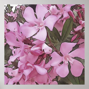 Poster Arte Preta Rosa Laurel Oleander Rosa