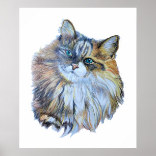 Poster Arte Realista de Gato Florestal Norueguês Colorid
