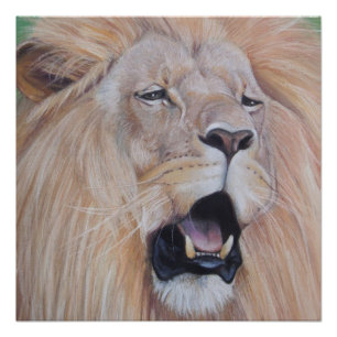 Pôster arte realista do grande gato rugindo