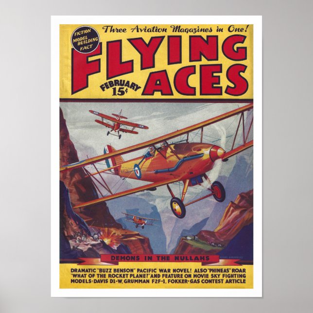 Poster ARTE reciclado: ÁCIOS VOADORES COBRIR ILUSTRADO (Frente)