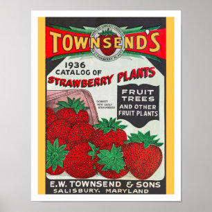 Poster ARTE reciclado: SEED CATALOG 1936