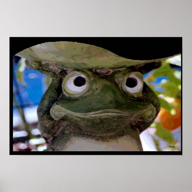 Pôster Arte Sapo de Jardim (Frente)