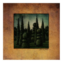 Arte Secreta do Jardim de Moonrise