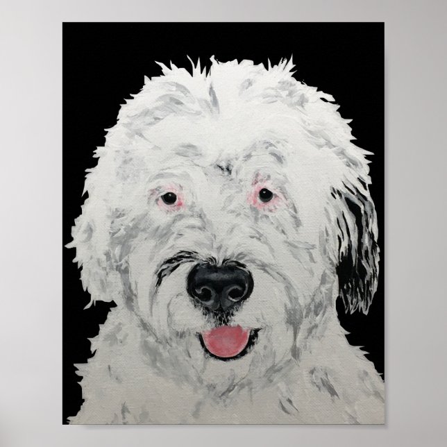 Poster Arte Sheepadoodle (Frente)