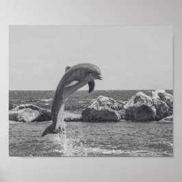 Poster Arte tropical de golfinho preto e branco