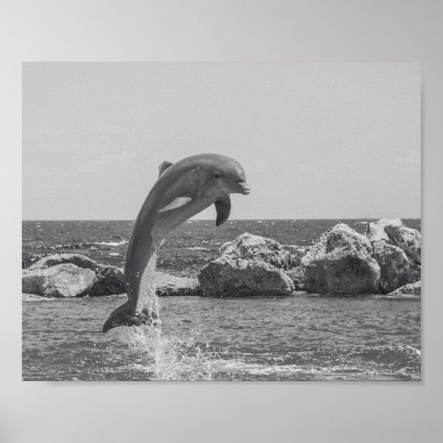 Poster Arte tropical de golfinho preto e branco (Frente)