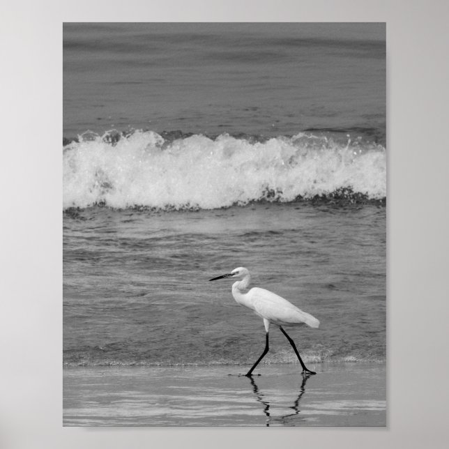 Poster Arte Tropical de Herão Branco e Preto (Frente)