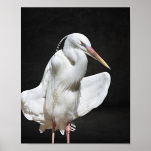 Poster Arte Tropical de Herão Branco e Preto