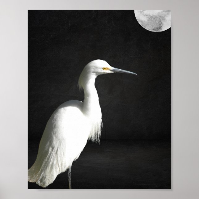Poster Arte Tropical de Herão Branco e Preto (Frente)