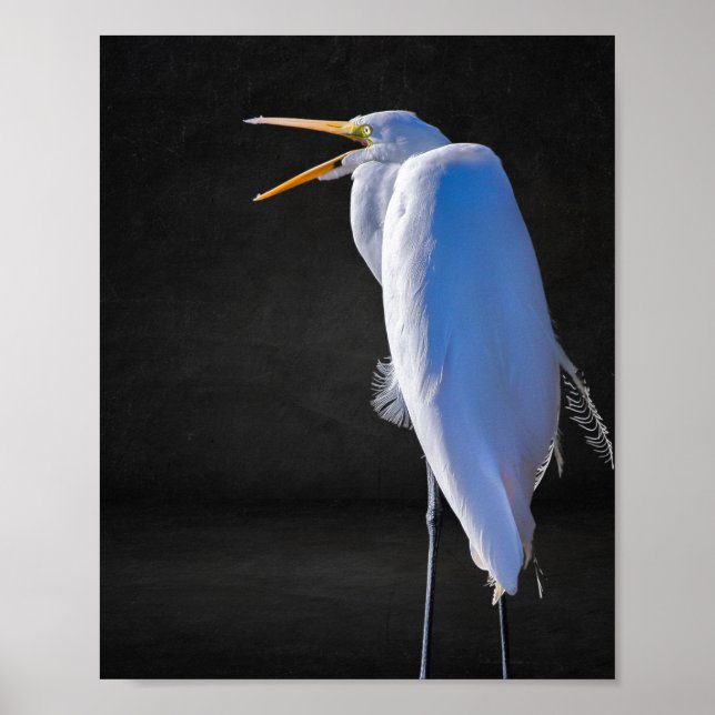 Poster Arte Tropical de Herão Branco e Preto (Frente)
