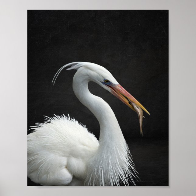 Poster Arte Tropical de Herão Branco e Preto (Frente)