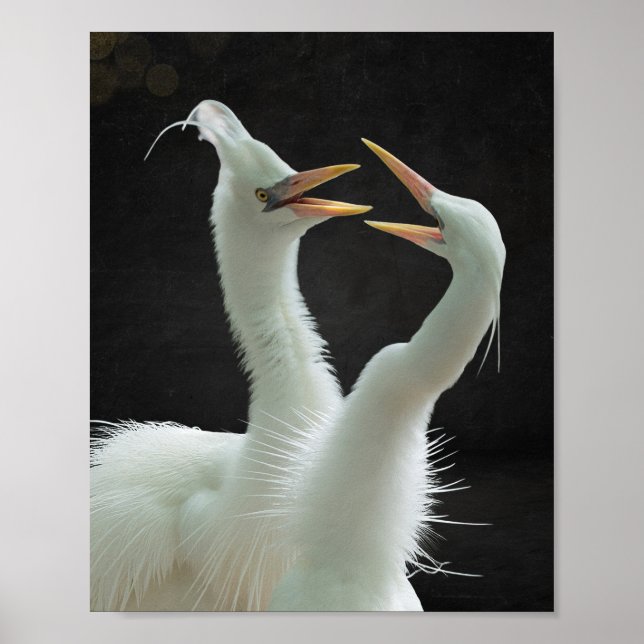 Poster Arte Tropical de Herão Branco e Preto (Frente)