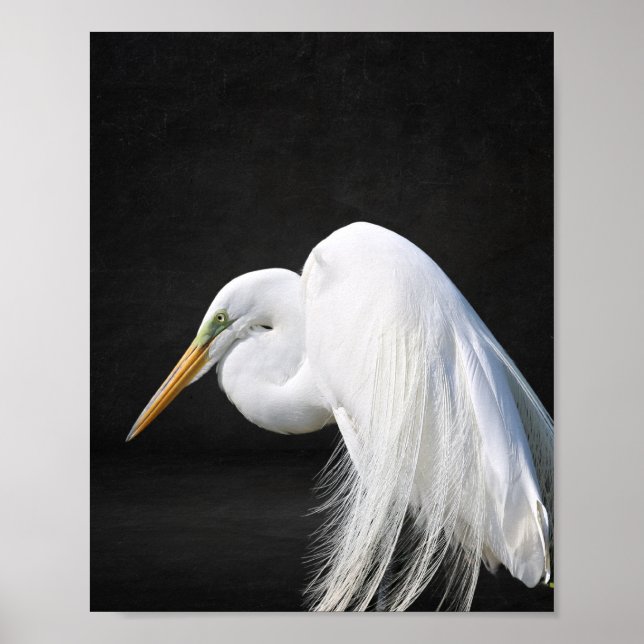 Poster Arte Tropical de Herão Branco e Preto (Frente)