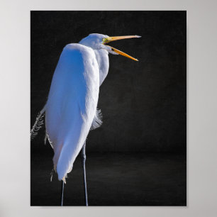 Poster Arte Tropical de Herão Branco e Preto