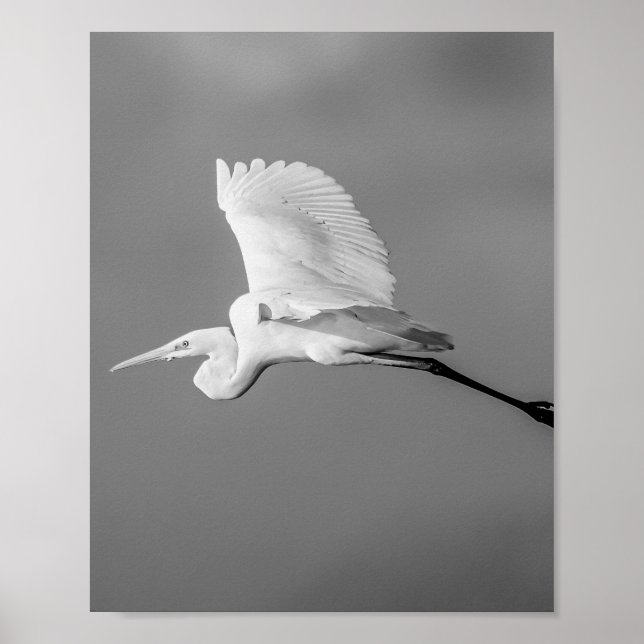 Poster Arte Tropical de Herão Branco e Preto (Frente)