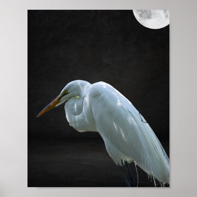 Poster Arte Tropical de Herão Branco e Preto (Frente)