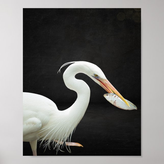 Poster Arte Tropical de Herão Branco e Preto (Frente)